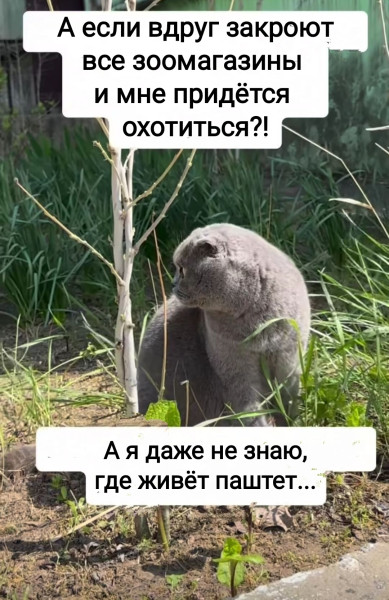 Мем №1605205