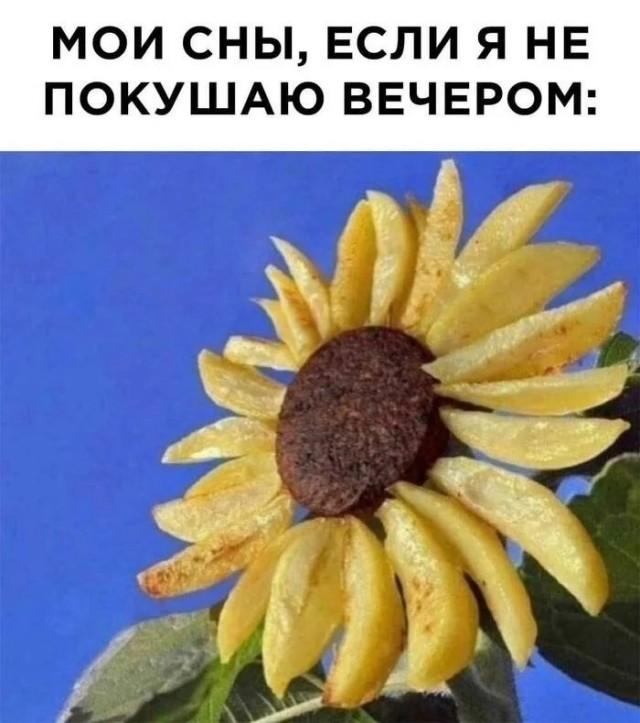 Подборка прикольных фото №3951