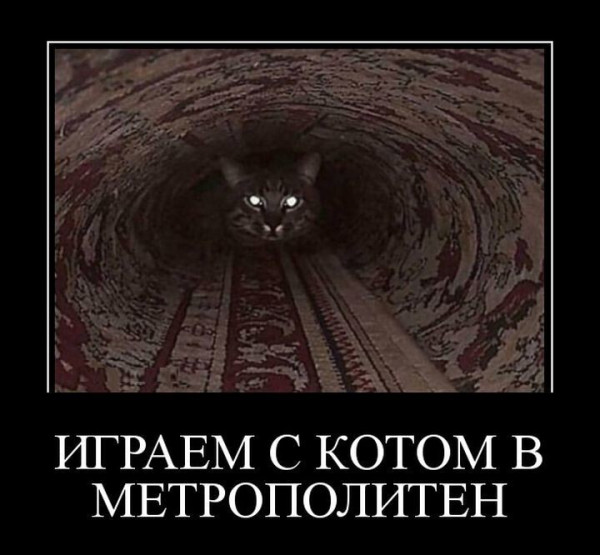 Мем №1602642