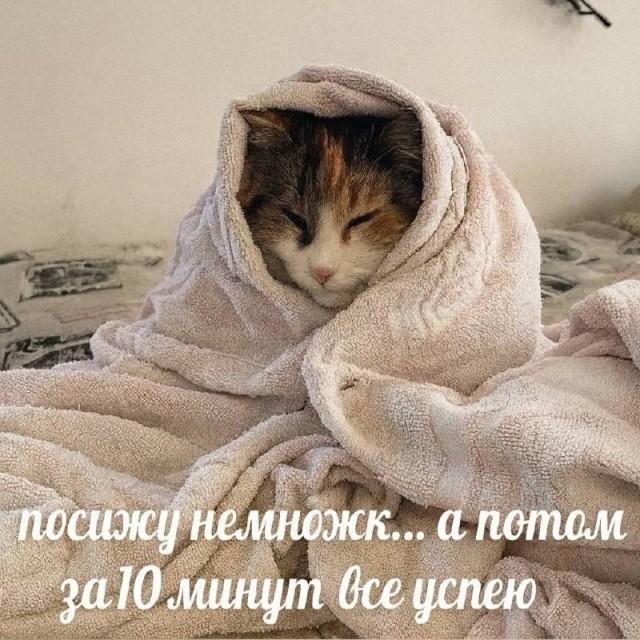 Подборка прикольных фото №3943
