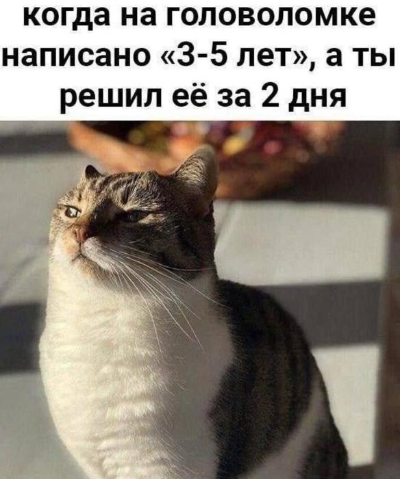 Смешные картинки