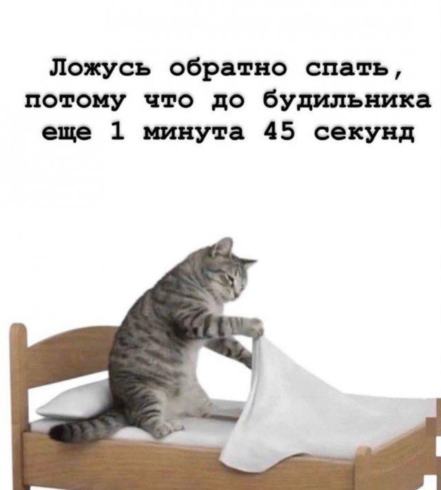 Подборка прикольных фото №3952