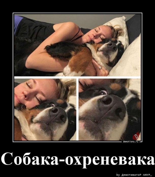 
			Демотиваторы №3800 (20 фото)