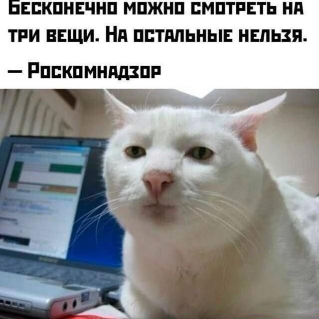 Лучшие шутки и мемы из Сети