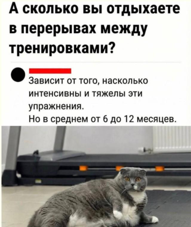 Лучшие шутки и мемы из Сети