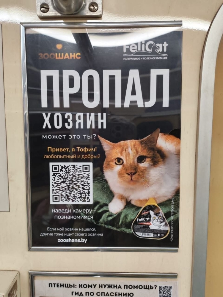 
        Пиар или&nbsp;действительно благое дело?    