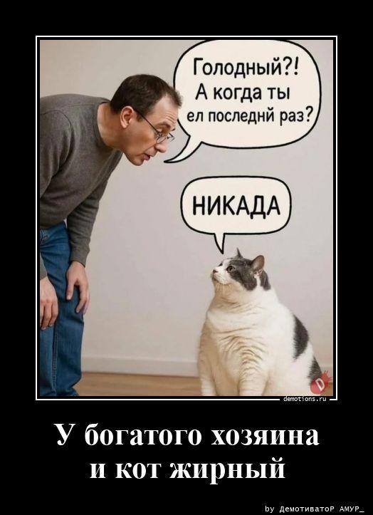
			Демотиваторы №3797 (20 фото)