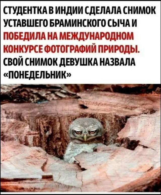 Подборка прикольных фото №3948