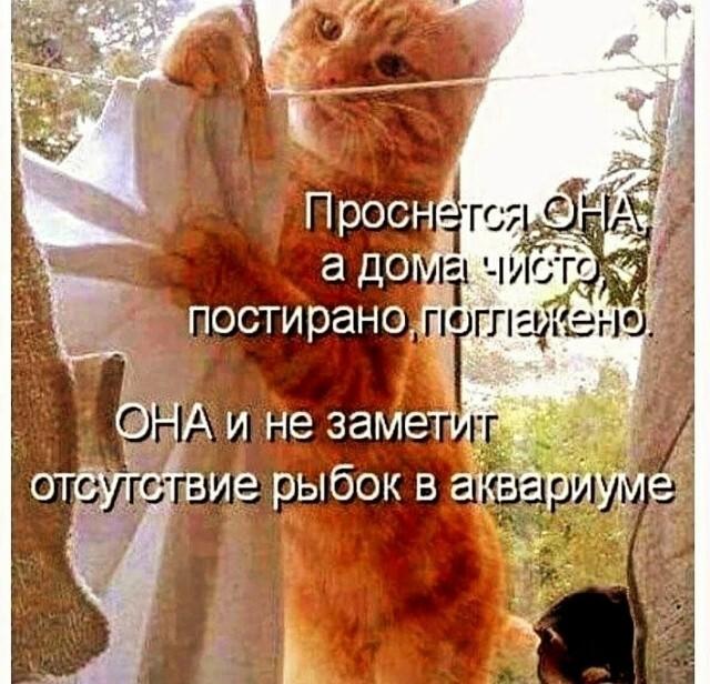 Подборка прикольных фото №3958