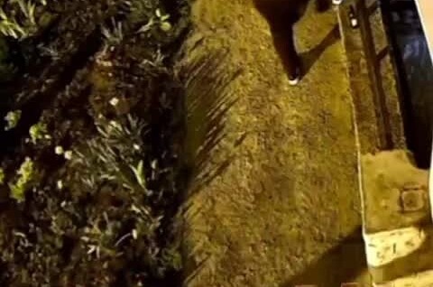 В Краснодаре мужчина жестоко избил прохожего из-за ревности
В Краснодаре мужчина жестоко избил прохожего из-за ревности