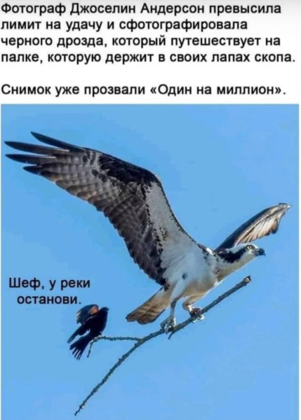 Мем №1600531