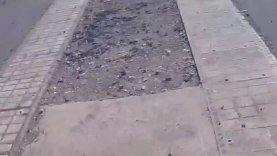 
        Прыжок с&nbsp;парашютом закончился неожиданной встречей с&nbsp;кенгуру    