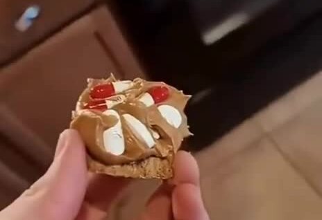 
        Домашние собаки и&nbsp;лекарства    