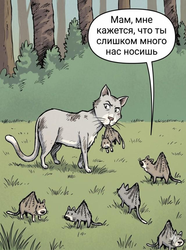 Смешные картинки