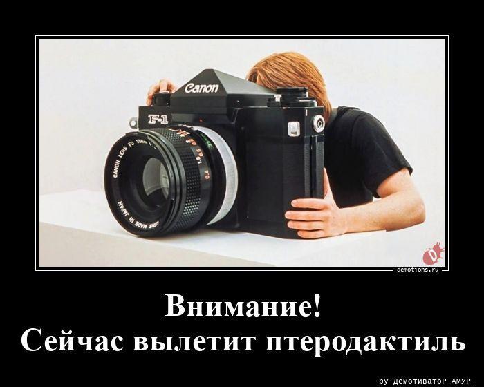 
			Демотиваторы №3797 (20 фото)