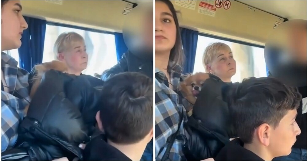 
        В&nbsp;Калининграде кондуктор высадила детей с&nbsp;щенком прямо на&nbsp;трассе    