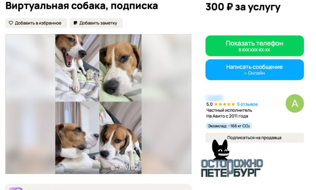 “Схожу за вас в церковь” и виртуальные питомцы: в Петербурге нашли необычные способы подработки “Схожу за вас в церковь” и виртуальные питомцы: в Петербурге нашли необычные способы подработки