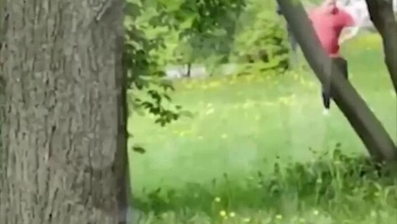 Селезень дал отпор мужчине в московском парке после попытки погладить утят
Селезень дал отпор мужчине в московском парке после попытки погладить утят
