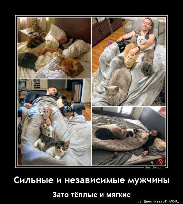 
			Демотиваторы №3800 (20 фото)