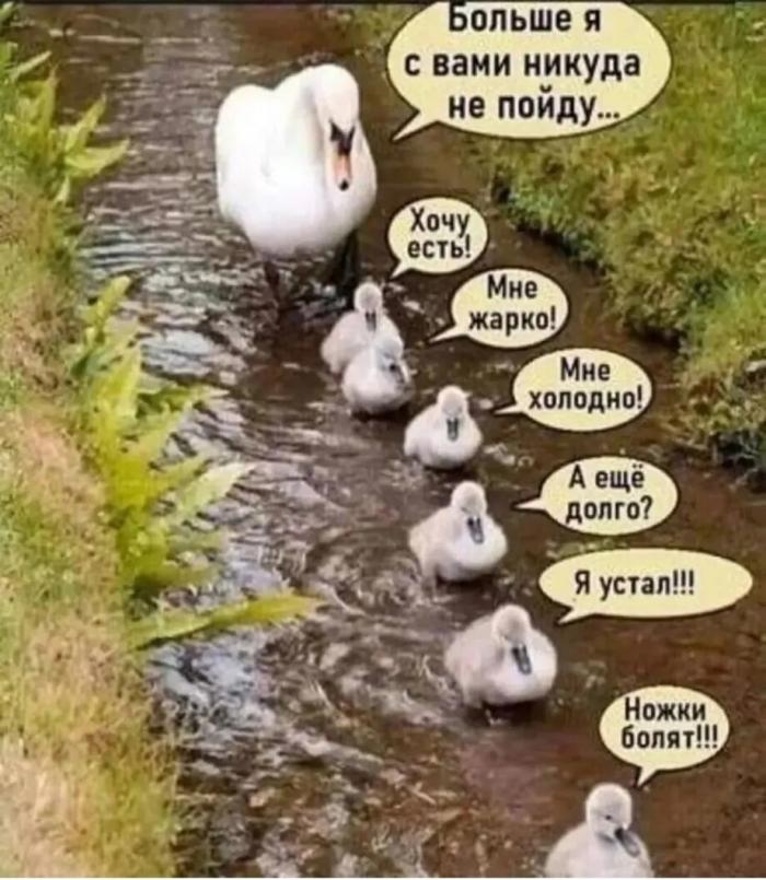 Смешные картинки