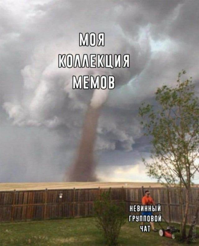 Смешные картинки