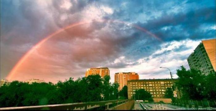 Подборка прикольных фото №3949