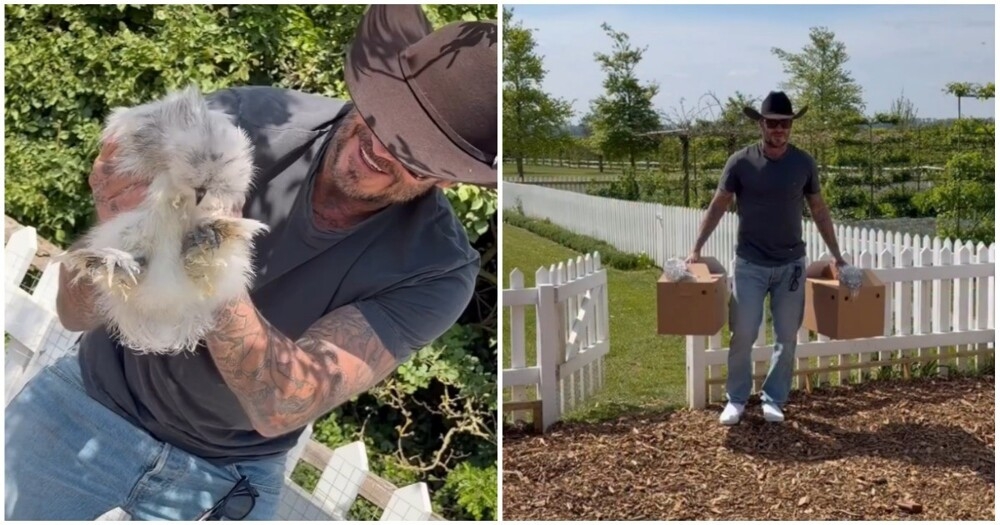 
        Дэвид Бекхэм получил от&nbsp;жены необычный подарок на&nbsp;день рождения    