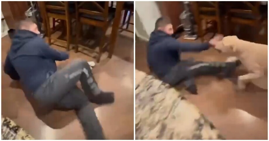 
        Незавидная участь    