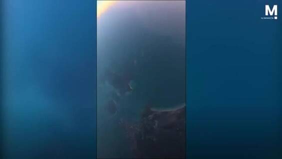 
        Собака совершила прыжок с&nbsp;самолёта вместе с&nbsp;десантником    