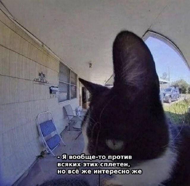 Смешные картинки