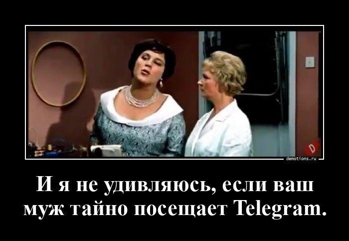 
			Демотиваторы №3800 (20 фото)