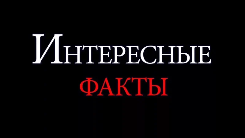 10 забавных, но правдивых фактов #5
10 забавных, но правдивых фактов #5
