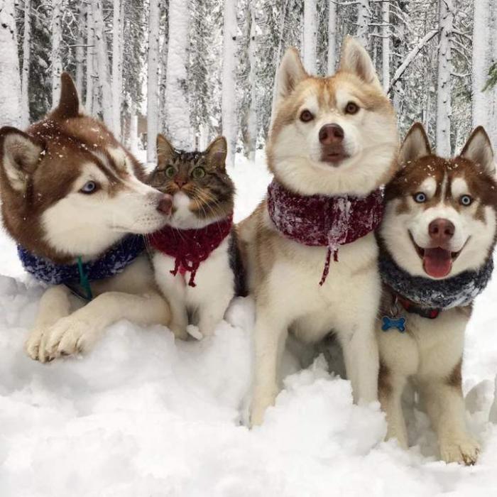 Подборка прикольных фото №3956