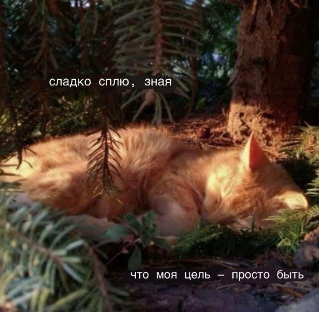 Смешные картинки