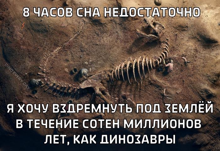 Подборка прикольных фото №3961