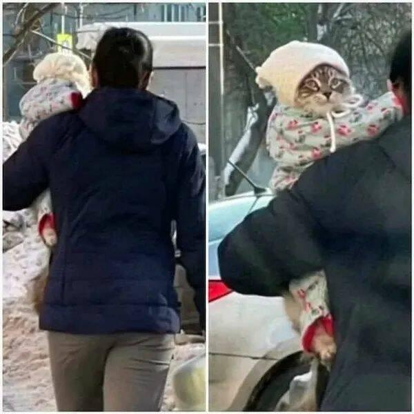 Подборка прикольных фото №3942
