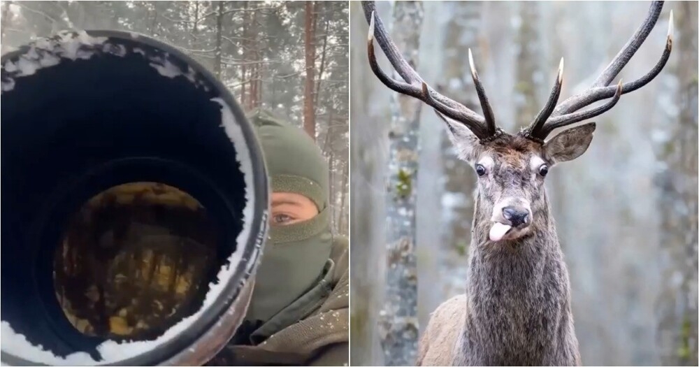 
        Фотограф дикой природы показал, как&nbsp;животные &laquo;ломают&raquo; идеальные кадры    