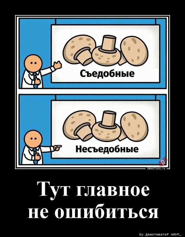 
			Демотиваторы №3800 (20 фото)