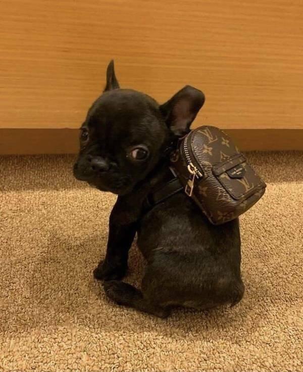 Подборка прикольных фото №3960