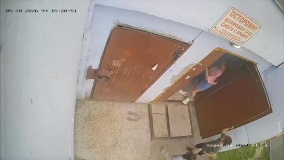 
        Мальчик спас девочку от&nbsp;педофила    