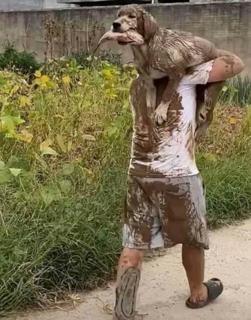 30 фото собак, которые ничего не делают, но каждый раз спасают наш день
30 фото собак, которые ничего не делают, но каждый раз спасают наш день