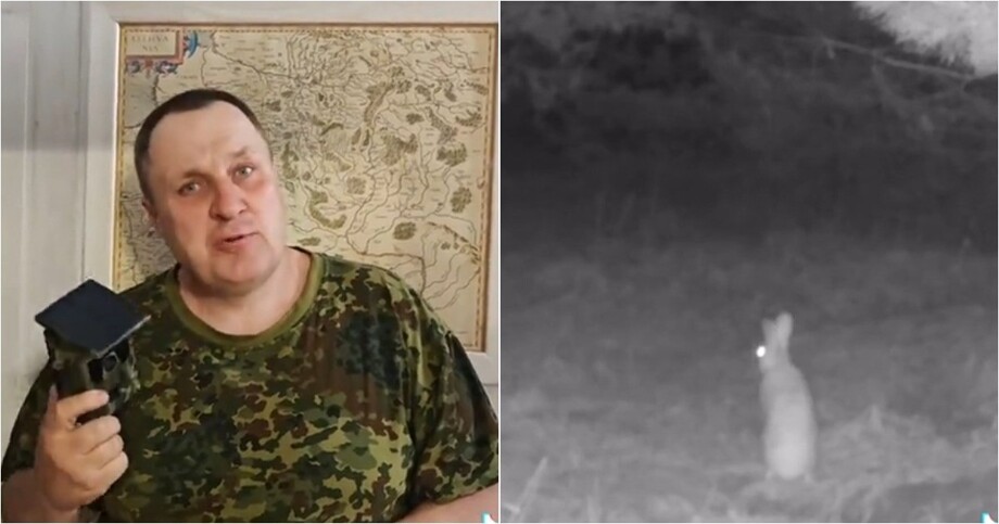 
        Лиса осталась ни&nbsp;с&nbsp;чем: хитрость зайца попала на&nbsp;камеру    
