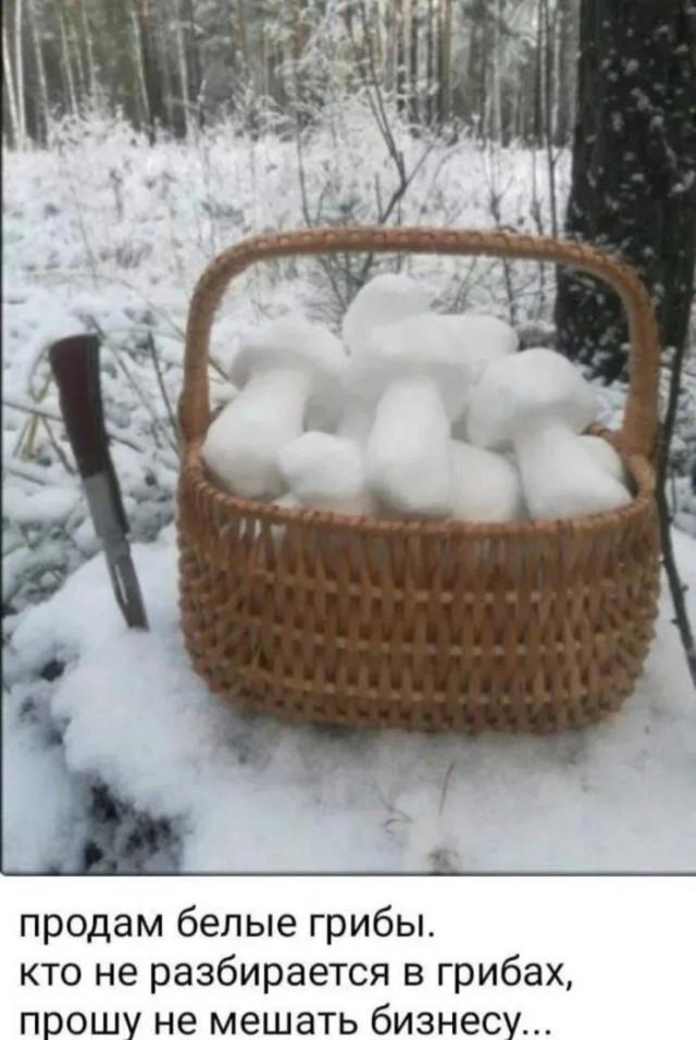 Подборка прикольных фото №3942