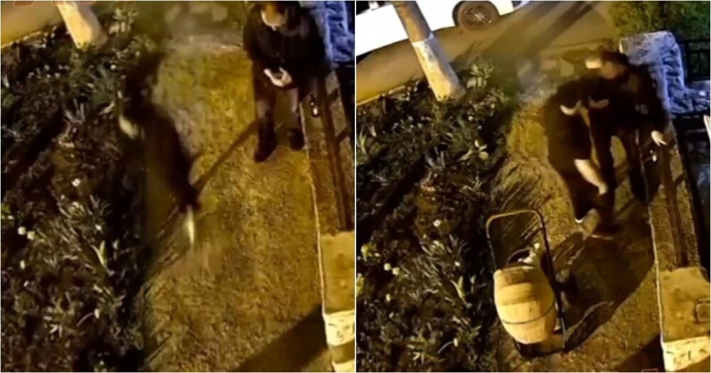 В Краснодаре мужчина жестоко избил прохожего из-за ревности
В Краснодаре мужчина жестоко избил прохожего из-за ревности