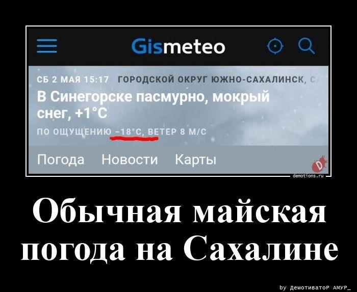
			Демотиваторы №3797 (20 фото)