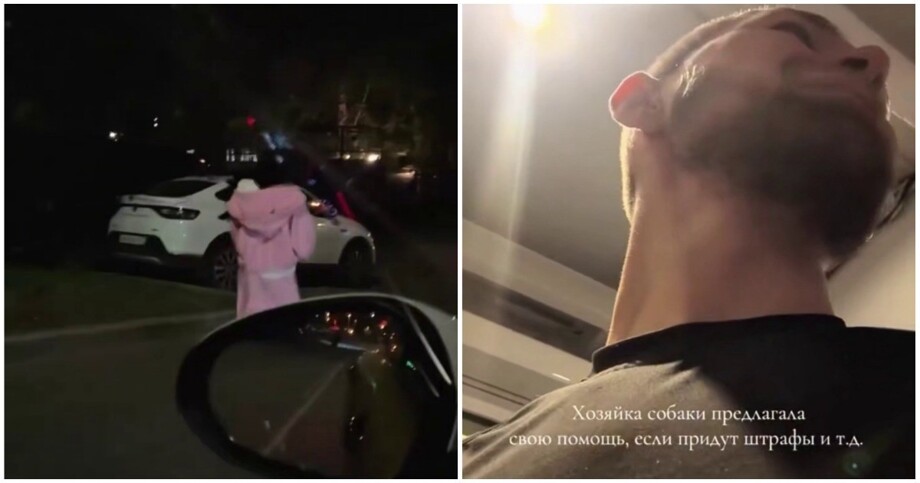 Таксист помог спасти задыхающуюся собаку
Таксист помог спасти задыхающуюся собаку