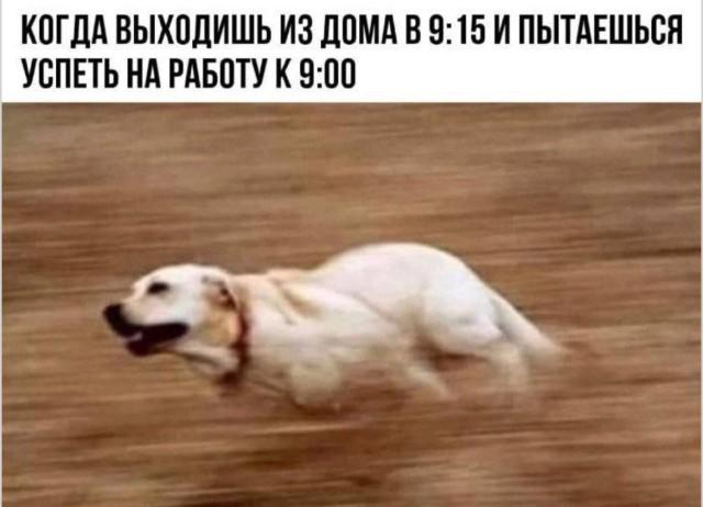 Подборка прикольных фото №3945