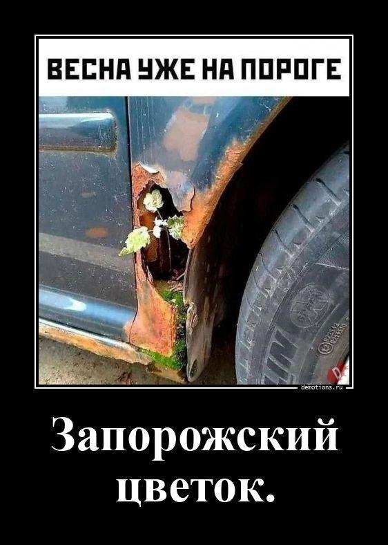 
			Демотиваторы №3798 (20 фото)