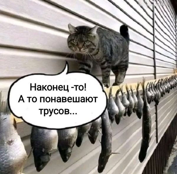 Мем №1600533