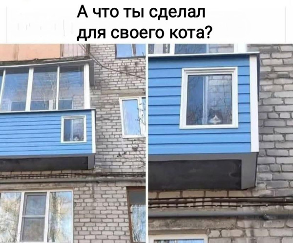Мем №1603068